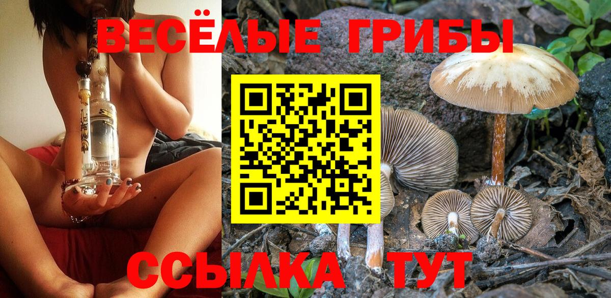 Жуковский  Псилоцибиновые грибы MAGIC MUSHROOMS  Вход с VPN  цены наркотик  Галлюциногенные грибы Magic Shrooms 
