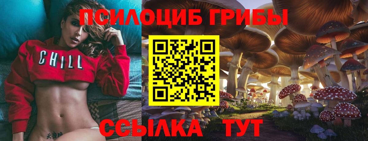 Псилоцибиновые грибы Cubensis Жуковский